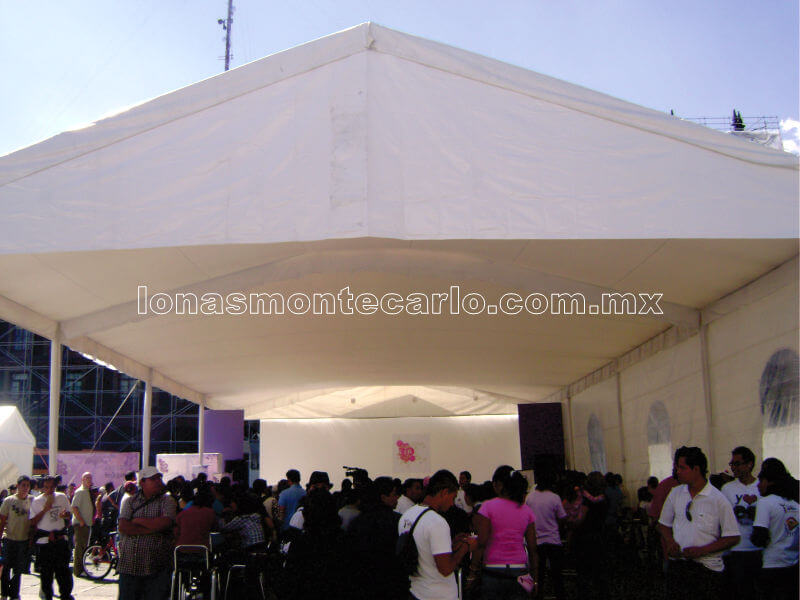carpa-01.jpg