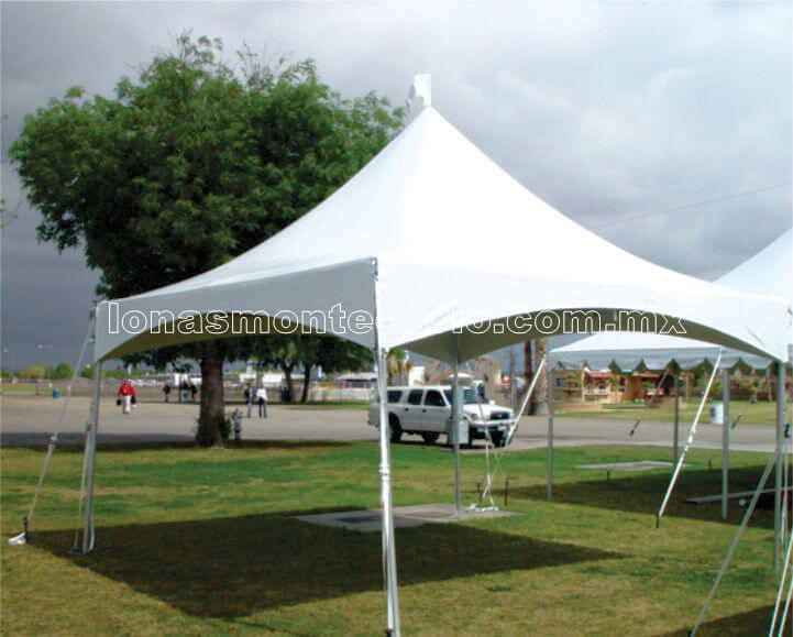 carpa-03.jpg