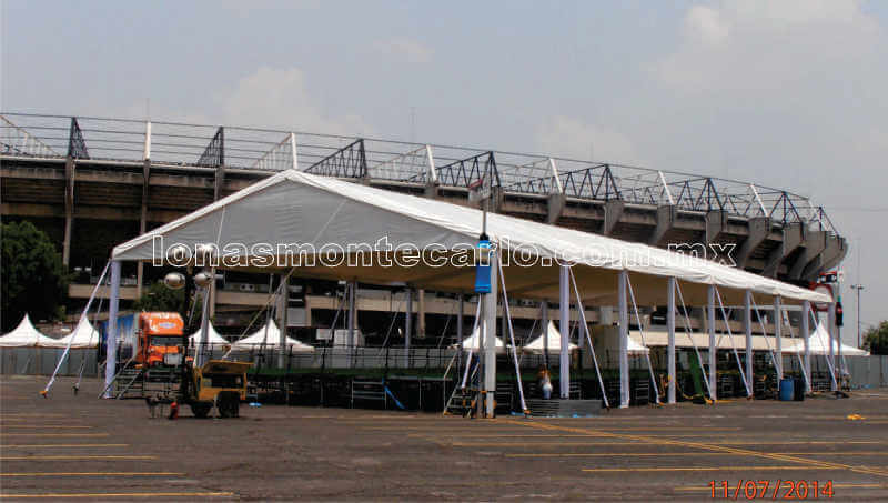 carpa-04.jpg