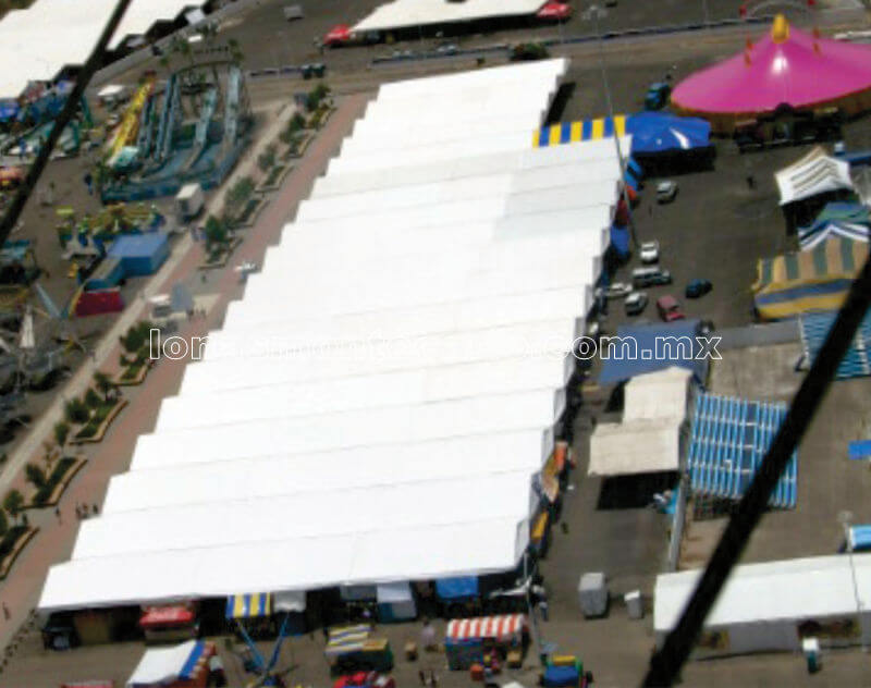 carpa-07.jpg