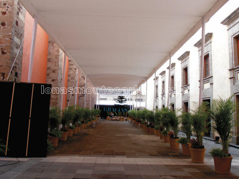 carpa-08.jpg