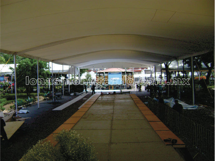carpa-11.jpg