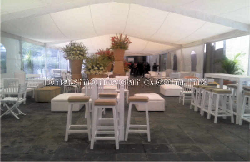 carpa-14.jpg