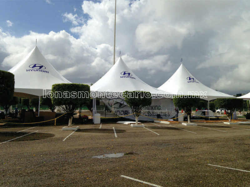 carpa-15.jpg