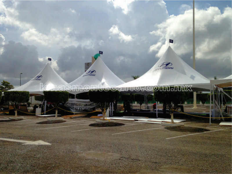 carpa-16.jpg