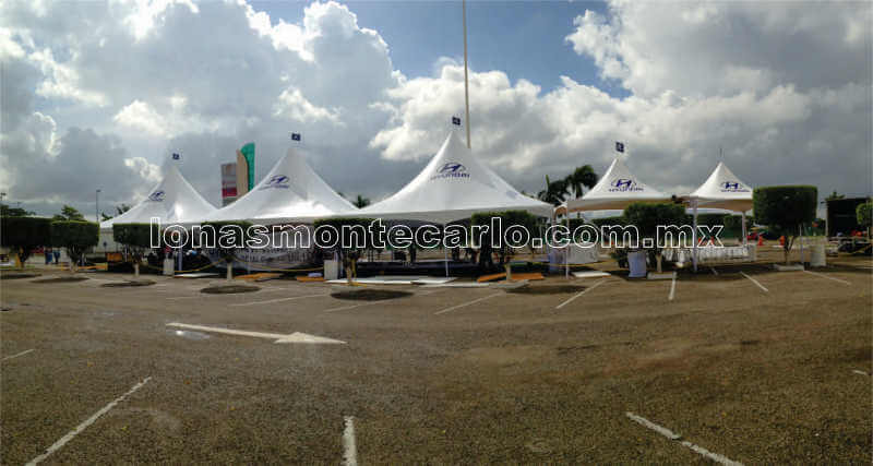 carpa-22.jpg